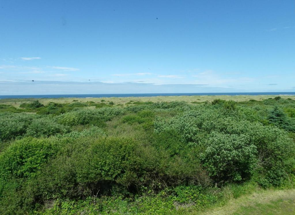 Quinault Sweet Grass Hotel Ocean Shores Esterno foto